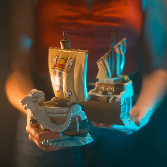 One Piece - Fermalibro Going Merry