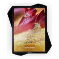 Jasco Games - Radiance Sleeves Mordekaiser
