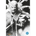 Batman Hush 2 Variant Corrado Roi