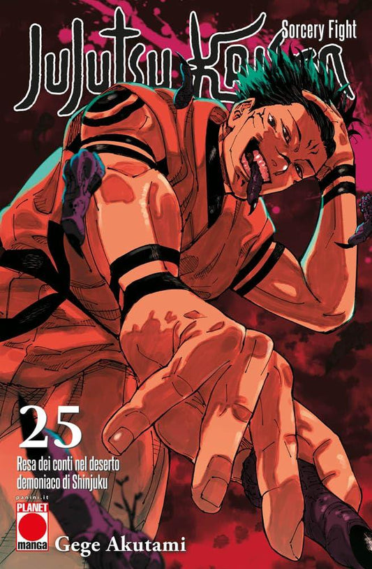 Jujutsu Kaisen 25