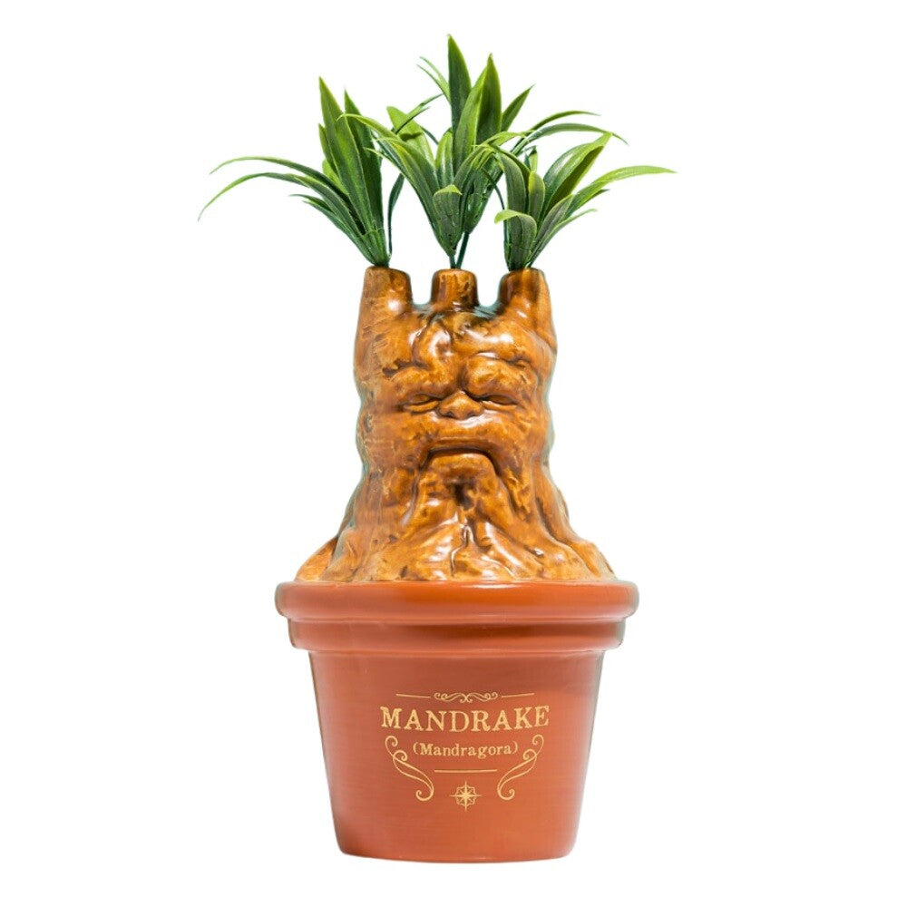 Vaso Mandragola