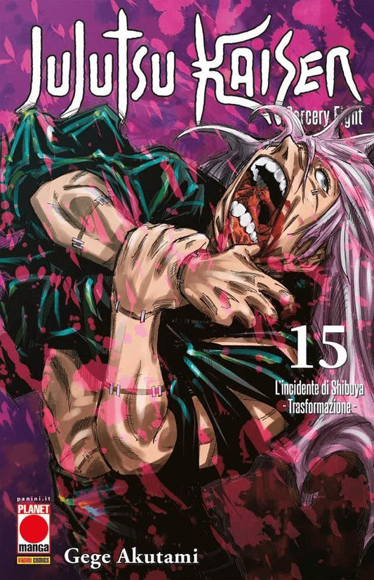 Jujutsu Kaisen 15