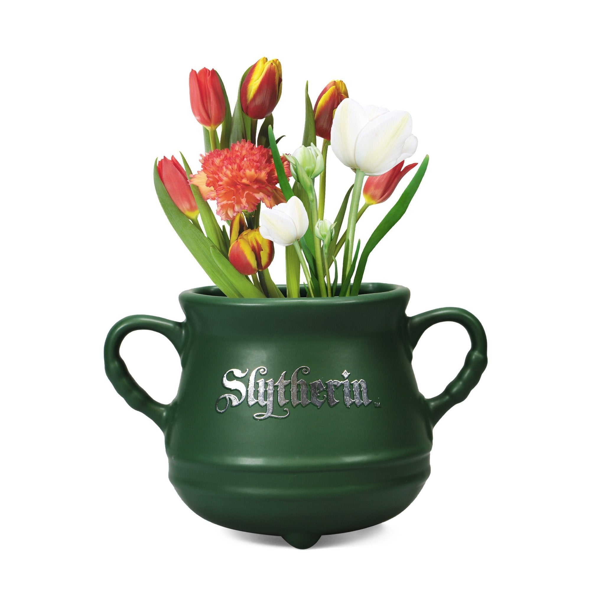 Vaso da muro Calderone Serpeverde