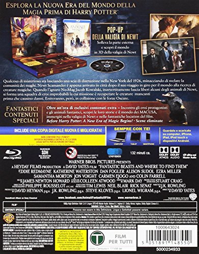 Animali Fantastici e Dove Trovarli - DVD Blu Ray + Copia Digitale Pop Up