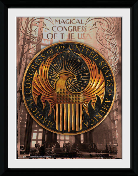 Poster con Cornice Emblema del MACUSA